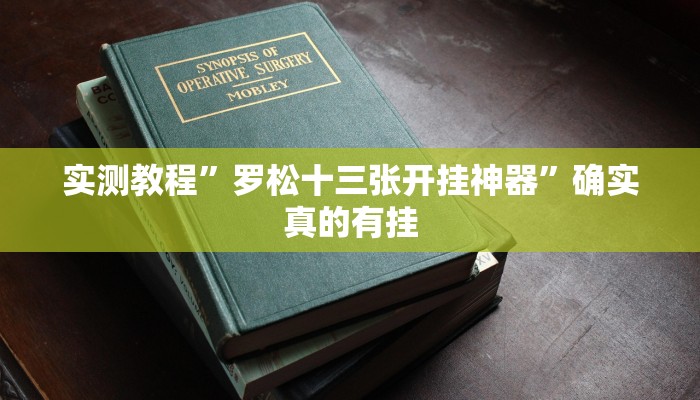 实测教程”罗松十三张开挂神器”确实真的有挂